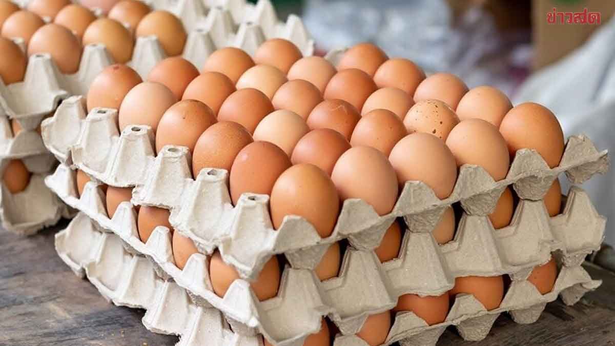 ไข่ไก่